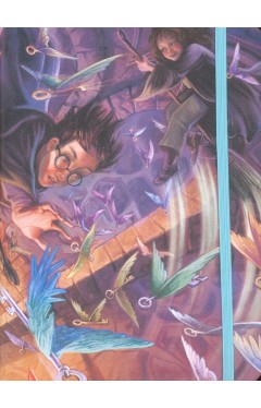 Harry Potter, Searching For The Key